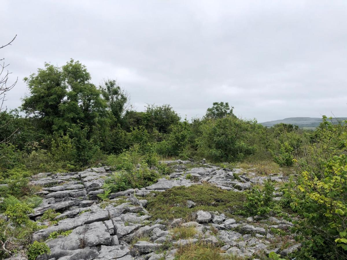 Teach Talamh Kinvara Exterior foto